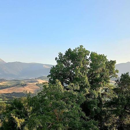 Pigno, Appartamento In Campagna Cagli Εξωτερικό φωτογραφία