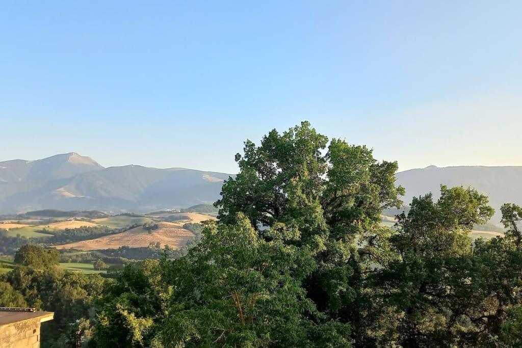 Pigno, Appartamento In Campagna Cagli Εξωτερικό φωτογραφία
